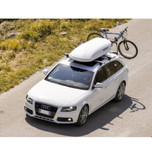 mania roof box